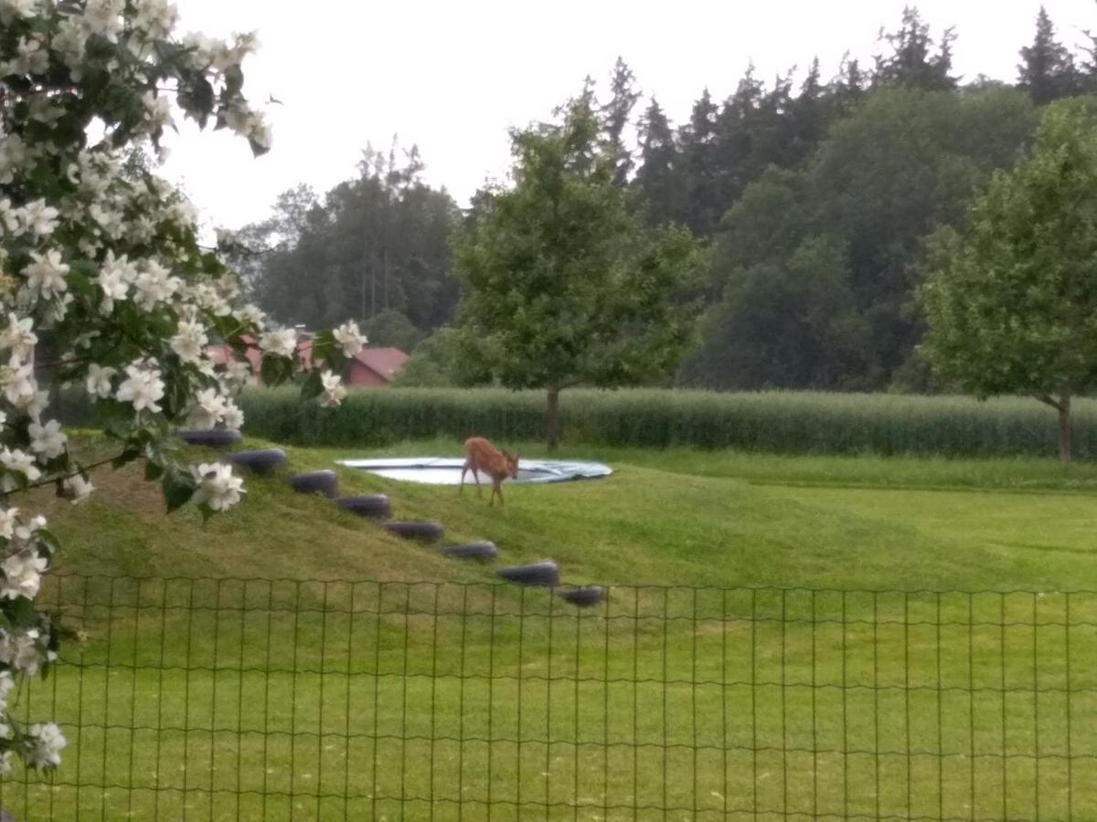 Vitalhof Roithinger Grieskirchen Zewnętrze zdjęcie