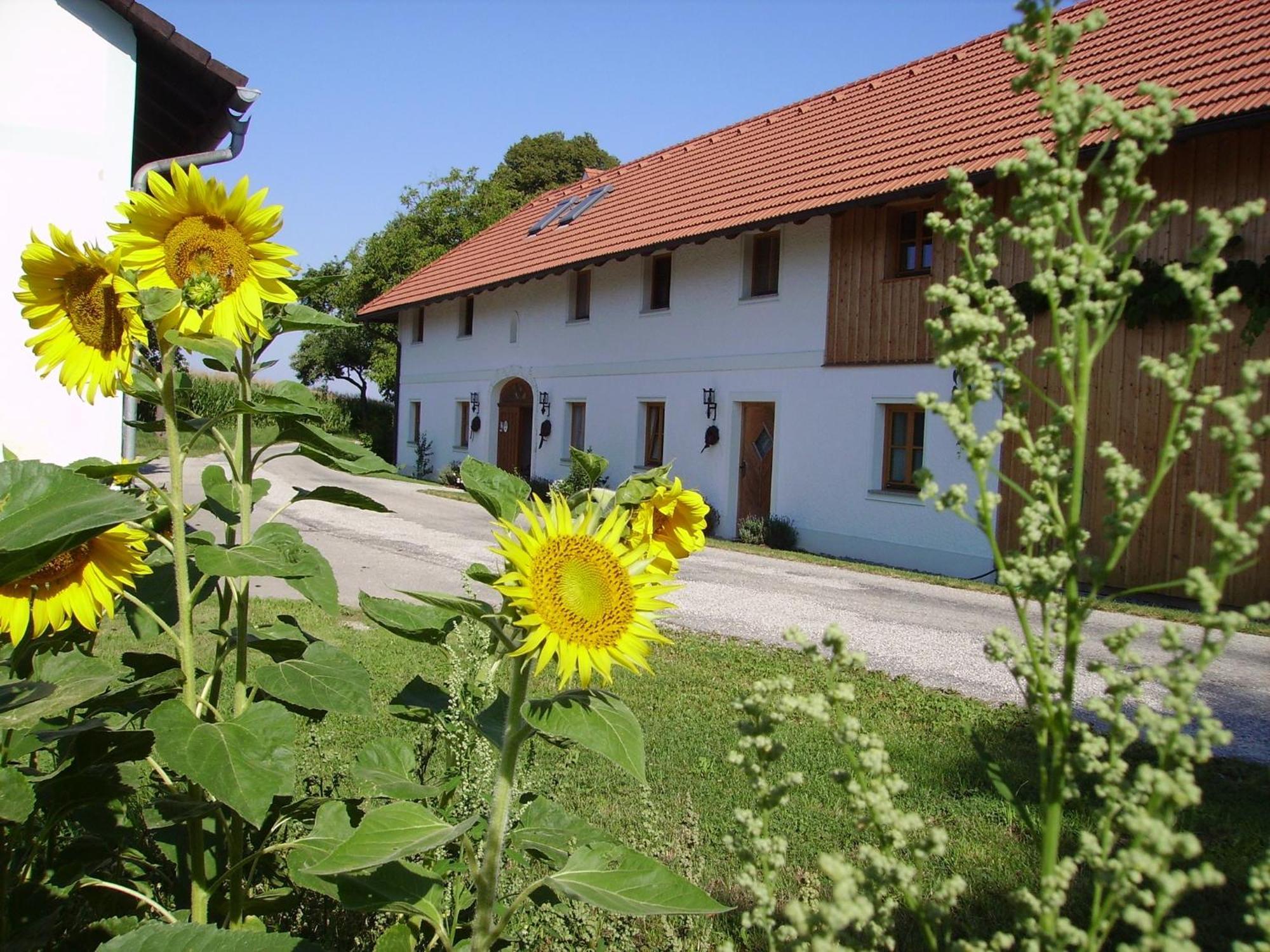 Vitalhof Roithinger Grieskirchen Zewnętrze zdjęcie