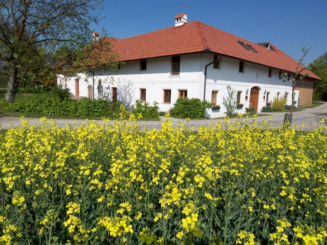 Vitalhof Roithinger Grieskirchen Zewnętrze zdjęcie
